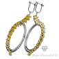 RoundSpiral White Sapphire Combined Gold Yellow - White Earrings